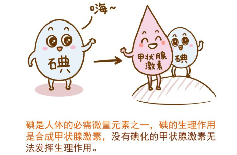 三凱尿碘檢測儀